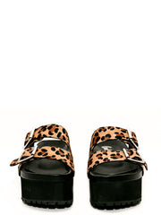 Swagger Leopard Platform